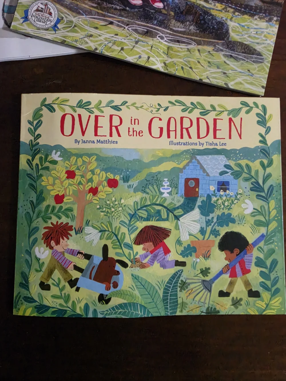 Imagination Library lot children